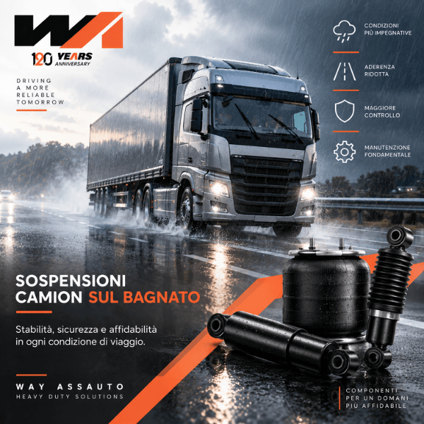 Sospensioni camion sul bagnato Way Assauto